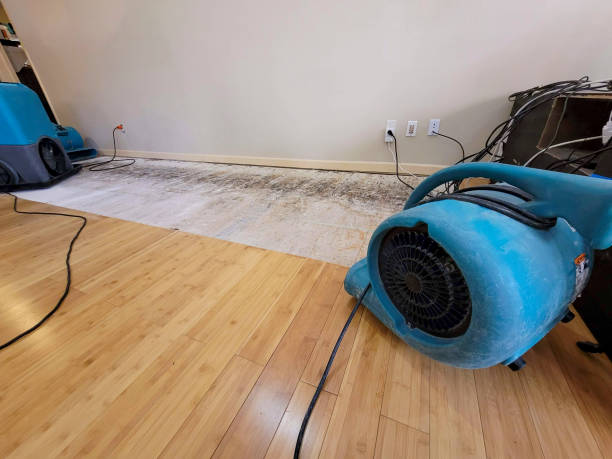 Reliable Basement Flood Cleanup contractor in Milford, NJ by Hirex Water Damage