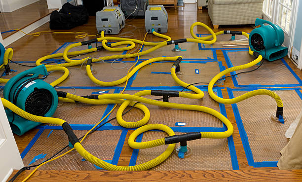 Professional Basement Flood Cleanup technician working in Milford, NJ